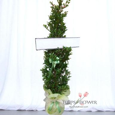 TW 10023 หรีดต้นไม้